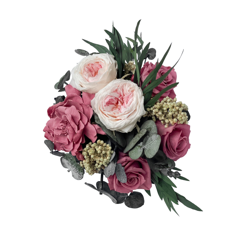 IMG_1622_jpg-removebg (1).png