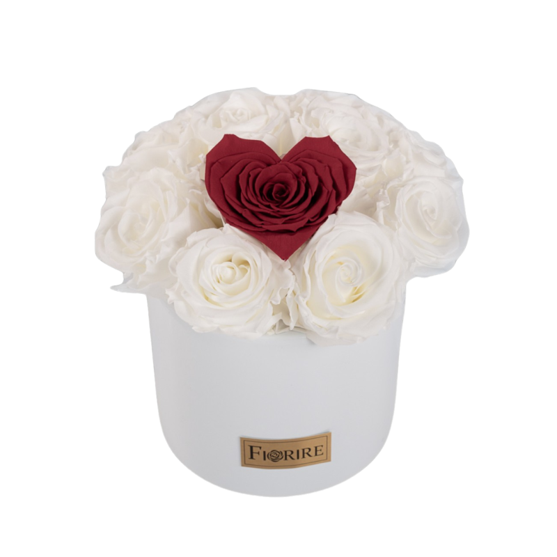 Nimetu kujundus (2).png