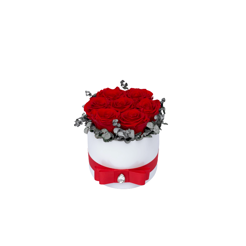 Facetune_23-02-2022-21-06-44-removebg-preview.png