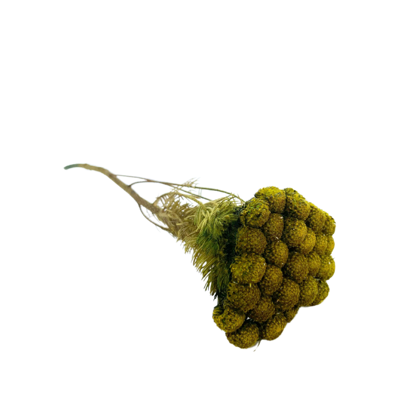 Nimetu kujundus (1).png
