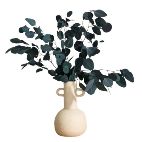 Kauasäiliv eukalüpt populus