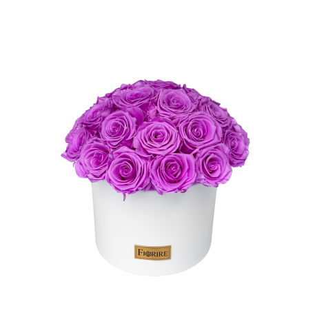 Facetune_23-02-2022-21-05-19-removebg.png
