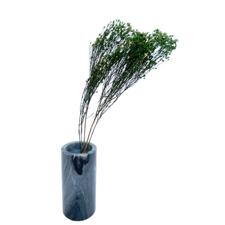 Bloom Broom roheline oks