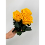 Kollane roos 25 cm