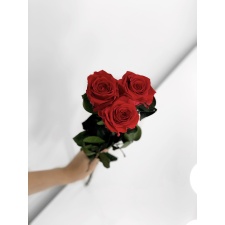 Red rose (25 cm)