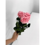 Light pink rose 55 cm