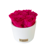 7 erkroosat roosai valges keraamilises vaasis (logoga)