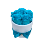 5 bright blue roses in white vase