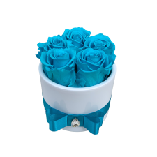 5 bright blue roses in white vase