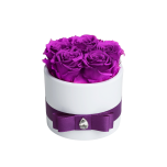 5 bright purple roses in white vase