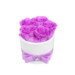 5 purple roses in white vase