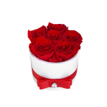 6 red roses in ceramic vase