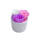 3 roosi (lilla+roosa+valge) õrnhallis keraamilises vaasis