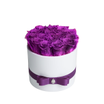 15 bright purple roses in white vase