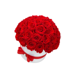 40 punast roosi valges keraamilises vaasis
