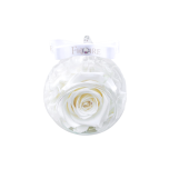 Roosikuul valge roosiga