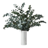 Eucalyptus+cinerea+in+vase_F-removebg.png