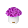 Facetune_23-02-2022-21-05-19-removebg.png